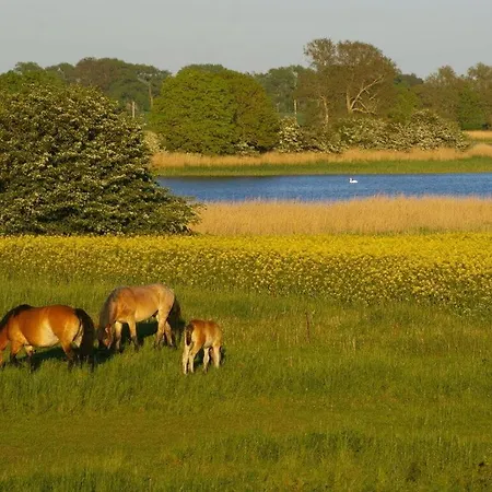 Διαμέρισμα Cosy In Garz *